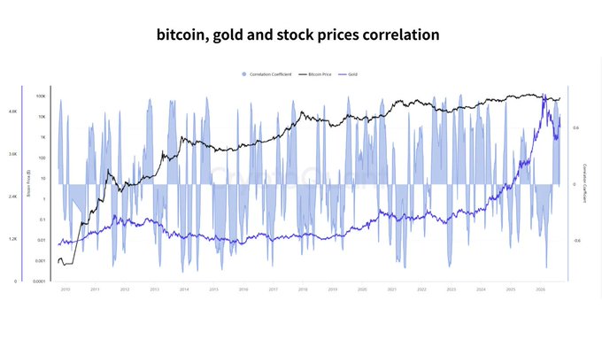 A line chart titled "bitcoin, gold and stock prices correlation" tracks Bitcoin Price (black line) and Gold (blue line) in USD from 2010 to 2026, alongside a Correlation Coefficient (light blue bars) ranging from 1 to -1, showing their historical relationship. The chart visually supports the post's claim that BTC and gold are exhibiting a tightening correlation as both prices push higher, raising the question of a new macro relationship or potential decoupling.