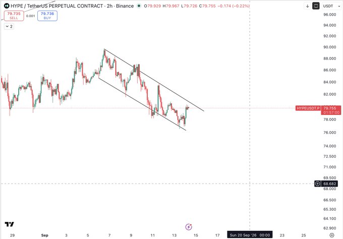 The image shows a 2-hour Binance chart of the HYPE/USDT perpetual contract trading at $79.755, displaying a bullish falling wedge pattern with price consolidating between approximately $78-$80. This technical setup supports the poster's bullish thesis, as a breakout from the wedge—combined with $BTC continuation—could propel $HYPE toward the $100 target they've identified for their long position shared with subscribers.