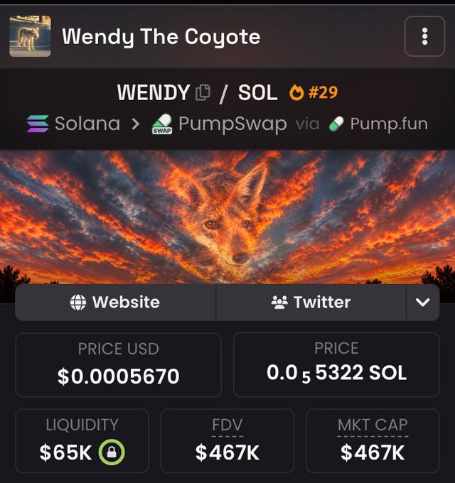 Screenshot of a Solana-based memecoin tracker showing "Wendy The Coyote" ($WENDY) priced at $0.0005670 USD / 0.00055322 SOL, with $65K liquidity, $467K FDV and market cap, illustrating the speculative dip-buy opportunity the poster referenced in their post.