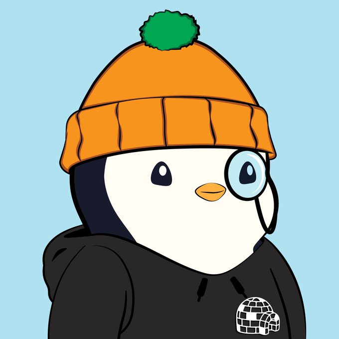 An illustrated penguin character wearing an orange knit beanie with a green pom-pom and a black hoodie featuring an igloo logo, with one eye enlarged through a monocle effect.