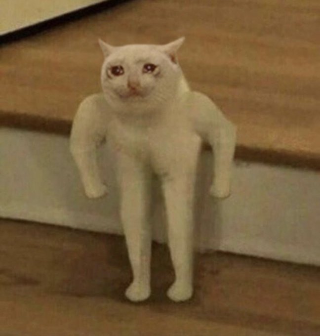 A white cat standing upright on its hind legs with its front paws resting on a ledge, giving it an anthropomorphic, almost human-like appearance.