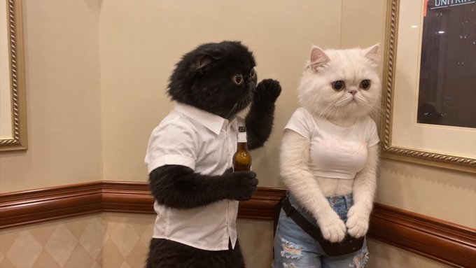 Two cats anthropomorphized standing upright in a hallway, with the black cat holding a beer bottle and wearing a white shirt, while the white cat wears a white t-shirt and denim shorts with a black fanny pack.