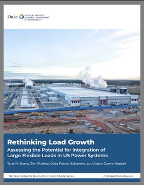 A Duke Nicholas Institute report cover titled 'Rethinking Load Growth: Assessing the Potential for Integration of Large Flexible Loads in US Power Systems' by Tyler H. Norris, Tim Profeta, Dalia Patino-Echeverri, and Adam Cooley-Haskell.