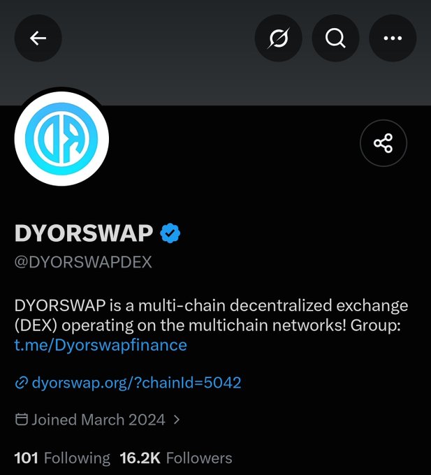 A Twitter/X profile page for 'DYORSWAP' (@DYORSWAPDEX), describing it as a multi-chain decentralized exchange with 16.2K followers and a link to dyorswap.org.