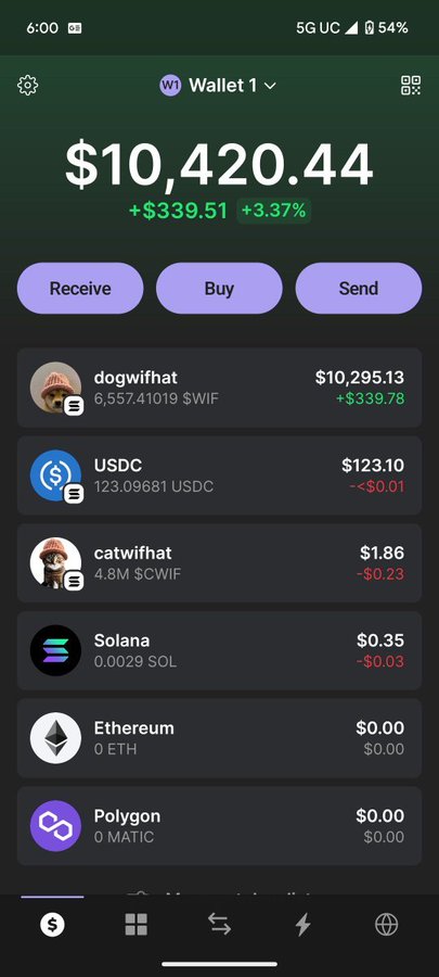 A mobile wallet app screenshot displaying a 'Wallet 1' balance of $10,420.44, showing a gain of +$339.51 (+3.37%), with holdings including 6,557,41019 $WIF (dogwifhat), 123.09681 USDC, 4.8M $CWIF, and 0.0029 SOL.