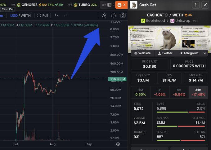 A crypto trading chart displays Cash Cat ($CASHCAT/WETH) on Uniswap v3 via Robinhood, showing a price of $0.1160, a $3.5M liquidity, and a FDV/MKT cap of $114.7M, with a large blue arrow pointing sharply upward from the late-August price surge. Despite a 24-hour decline of -17.46%, the dramatic upward trajectory illustrated in the chart visually reinforces the post's speculative claim that a $10,000 investment could potentially grow to $600,000 next year.