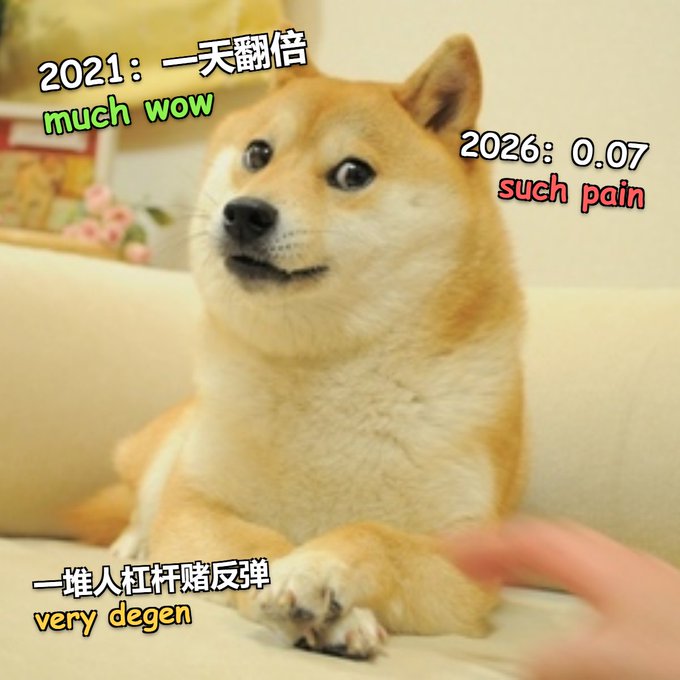 A popular "Doge" Shiba Inu meme image features text overlaid in the classic "much wow, very [adjective]" style, comparing the crypto market's highs and lows: "2021: 一天翻倍 much wow," "2026: 0.07 such pain," and "一堆人杠杆赌反弹 very degen," humorously referencing Dogecoin's dramatic price drop and the risky leveraged bets by retail traders hoping for a rebound.