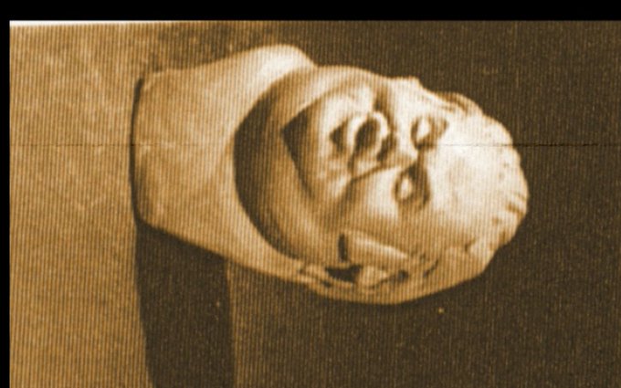 A sepia-toned image shows a clay bust sculpture of Shrek's head mounted on a wall, presented as an early sculpting work-in-progress of the $Shrek cryptocurrency character before it was finalized.
