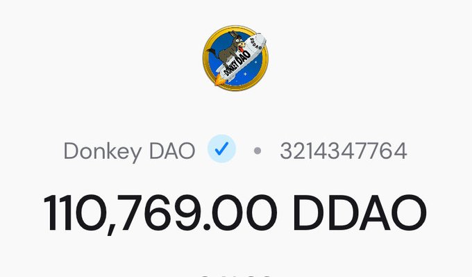 The image shows a wallet holding 110,769.00 DDAO tokens associated with Donkey DAO (wallet ID 3214347764), which aligns with the post where the user has acquired additional DDAO and is seeking suggestions on which token from their wallets—$froggo, $money, $IPT, $nugget, or $bonk—to pair it with in a liquidity pool.