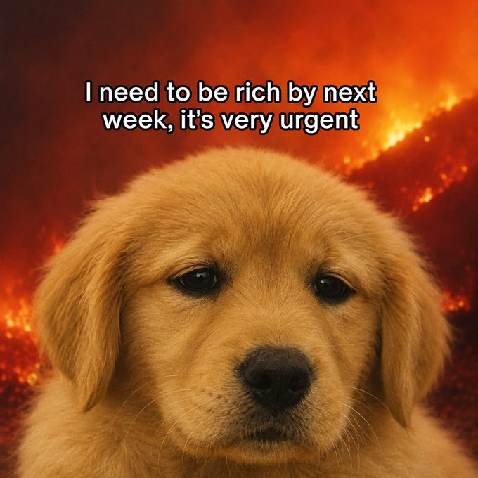 A meme featuring a sad golden retriever puppy in front of a fiery background, captioned 'I need to be rich by next week, it's very urgent'.