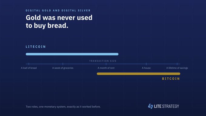 An infographic by LITE STRATEGY comparing transaction sizes for Litecoin (covering up to a month of rent) versus Bitcoin (suitable for larger purchases like a house or lifetime of savings), under the headline 'Gold was never used to buy bread.'