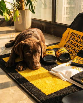 A chocolate Labrador dog lying on a yellow and black bath mat, posed with Binance-branded merchandise including slides, a t-shirt, and a bag, suggesting a promotional photo for the crypto exchange.