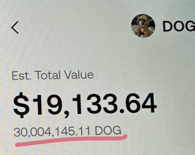 A screenshot of a DOGE wallet showing an estimated total value of $19,133.64 with a current balance of 30,004,145.11 DOG (underlined in red), illustrating the user's halfway progress toward their OCD-friendly goal of accumulating 55,555,555 $DOG by year's end.