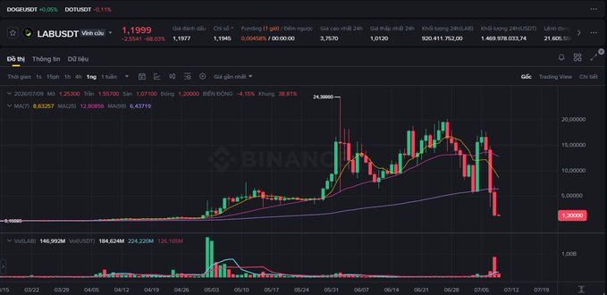A Binance trading chart showing DOGE/USDT price action with a sharp decline, displaying stats like 24H change of -28.81% and price around 21,388 VND.
