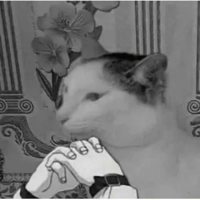 A black and white photo of a cat's face superimposed over an illustration of hands with manicured nails, set against a floral patterned background.