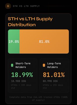 In this image, a black screen displays a pie chart that shows the percentage breakdown of Bitcoin holders' long term and short term holders. The majority of holders are concentrated in the long-term group, with an 81% success rate for these holders. On the other hand, only 19% of holders fall into the short-term holder category. This information indicates that Bitcoin has been successful in maintaining a stable and loyal client base over time, as opposed to experiencing rapid fluctuations or volatility due to abrupt changes in exchange rates.