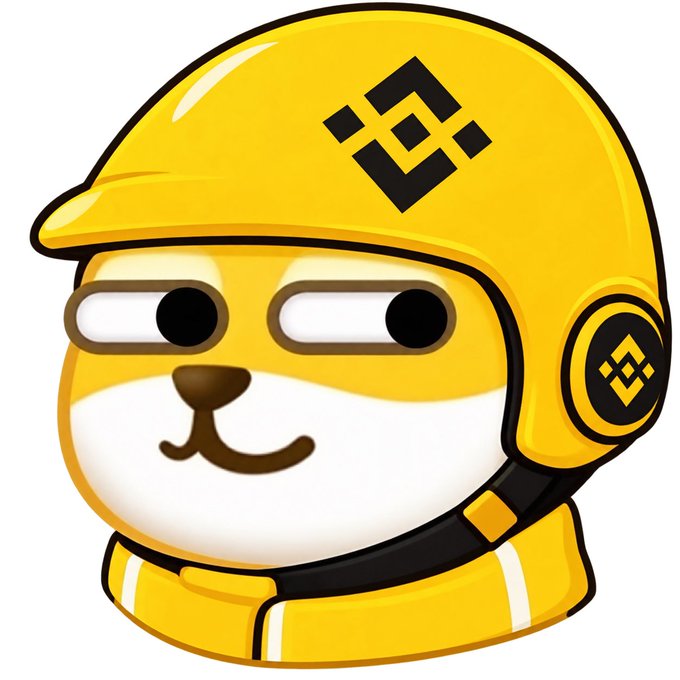 A cartoon illustration of a yellow dog wearing a yellow helmet with the Binance logo on it.