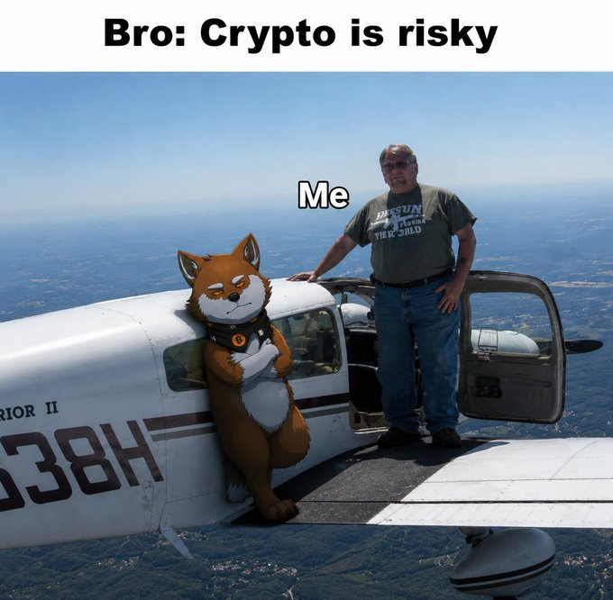 A meme showing a confident cartoon fox mascot leaning against a small white airplane (registration visible as "838H") mid-flight beside a casually dressed man, with text labels "Bro: Crypto is risky" at the top and "Me" pointing to the fox. The image humorously reinforces the post's "no risk no reward" message about $LOBO by depicting the "risk" of standing on a small aircraft thousands of feet in the air.