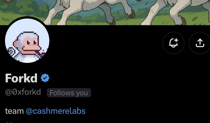 A Twitter/X profile page for verified user 'Forkd' (@0xforkd), which states 'team @cashmerelabs' in the bio and indicates they 'Follows you'.