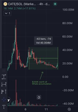 A 4-hour candlestick chart of CATE/SOL shows a sharp price spike followed by a downtrend, with a highlighted green box indicating that whales accumulated $200K worth of CATE over the past 7 days, accumulating approximately 40.30M tokens during a -7d decline period.