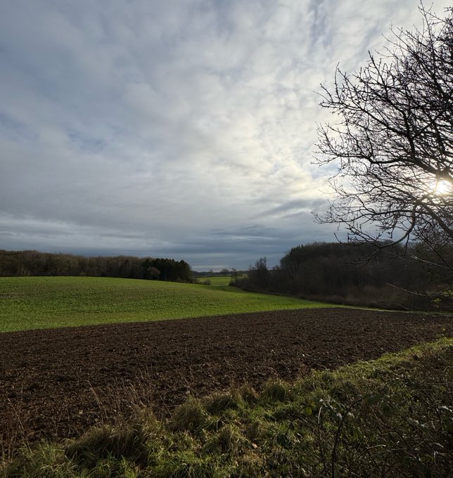 A landscape photo showing a field with green crops and brown plowed earth under a cloudy sky, with sun peeking through a bare tree branch on the right.