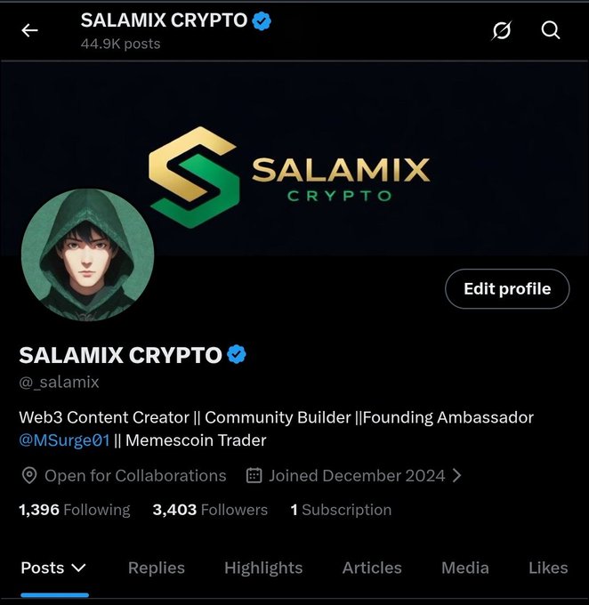 A Twitter/X profile for 'SALAMIX CRYPTO' (@_salamix) described as a Web3 Content Creator, Community Builder, and Meme Trader, with 3,403 followers.