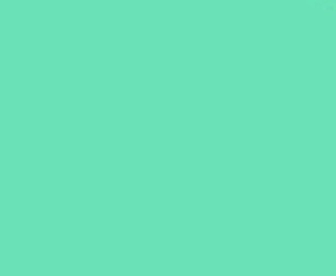A solid mint-green background with the text "A1" faintly visible in the upper right corner, serving as a minimalist backdrop for a post referencing an elite Bored Ape Yacht Club NFT.