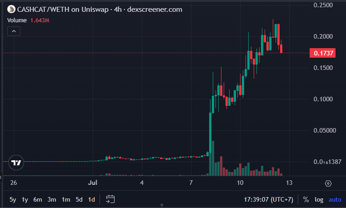A candlestick chart from dexscreener.com for 'CASHCAT/WETH on Uniswap' showing a 4-hour timeframe. The price action shows a sharp increase, with the current value at 0.1737, volume at 1.643M, and a high near 0.2500.