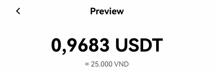 A preview screen showing a crypto conversion of 0.9683 USDT, approximately equal to 25,000 VND, illustrating how a small dollar amount in cryptocurrency represents meaningful spending money in everyday currency.
