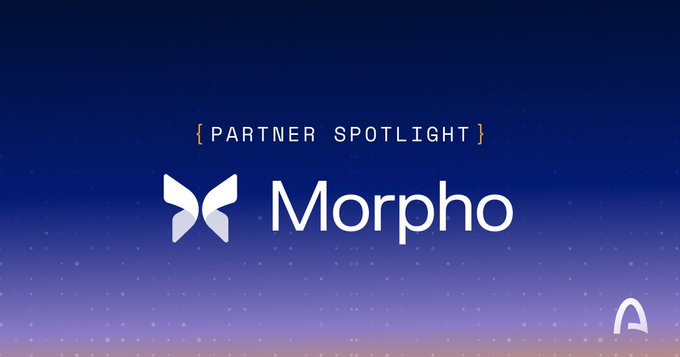 A purple gradient banner reading '{PARTNER SPOTLIGHT}' above the 'Morpho' logo with a butterfly-like symbol.