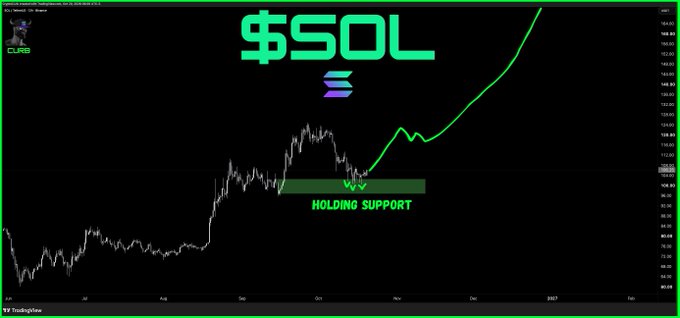 A black-and-green SOL price chart marked “HOLDING SUPPORT,” with the Solana logo below the large “$SOL” title and a chart credit at the bottom.