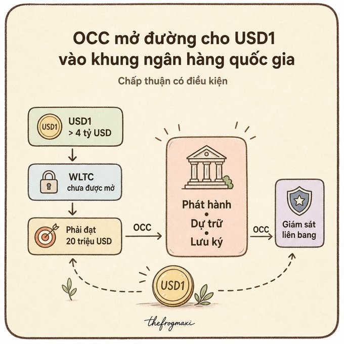 An infographic in Vietnamese titled 'OCC mở đường cho USD1 vào khung ngân hàng quốc gia' explaining how USD1 (>$4B) can be used via OCC to reach national banking, with conditions like WLTC and a $20M target, leading to issuance, custody, and cross-border supervision.