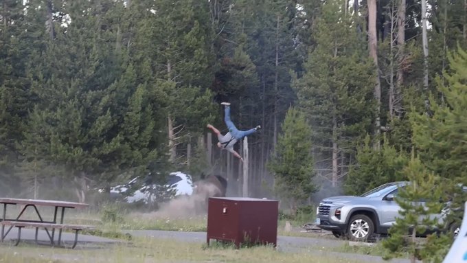 A person in jeans is captured mid-air flipping headfirst toward a dark red cabinet, with a car parked nearby and a forest in the background.