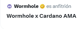 The image features a white sign that says "Wormhole x Cardano AMA" written in Spanish, which translates to "Wormhole" and "Cardano" being two of the most forgotten projects from the last cycle with the least use team up to get funding. The sign also includes an image of a yellow star next to the text.
