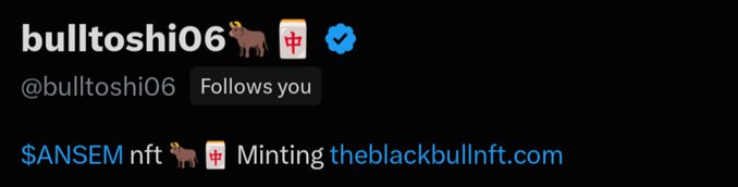 A social media profile display for user 'bulltoshi06' showing the handle @bulltoshi06, a 'Follows you' button, and a link promoting '$ANSEM nft Minting theblackbullnft.com'.