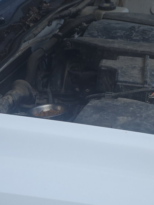 A view into a dirty car engine bay, showing accumulated grime on the engine cover and surrounding components.