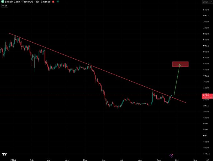 A TradingView chart shows Bitcoin Cash/TetherUS (BCH/USDT) on Binance breaking out of a descending trendline on the daily timeframe, with current price around $254.17 and an arrow pointing toward a $500 target near the top right. The post's bullish breakout claim is visually supported by the price piercing above the long-term red resistance line.