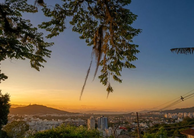 A sunset cityscape viewed through tree branches with Spanish moss, showing mountains in the distance.