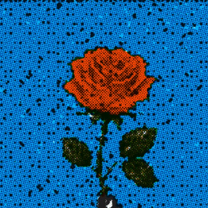 A halftone-styled red rose on a bright blue fabric-textured background, fitting the "gm" (good morning) post with its vibrant, uplifting floral aesthetic.