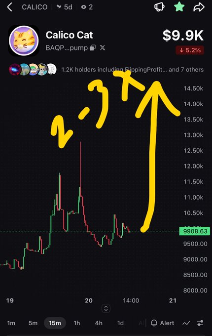 A mobile trading chart screenshot showing the 'Calico Cat' token (ticker CALICO) priced at $9.9K, down 5.2%, with 1.2K holders. Yellow arrows and text are drawn on the price chart pointing upward, suggesting a predicted price increase.