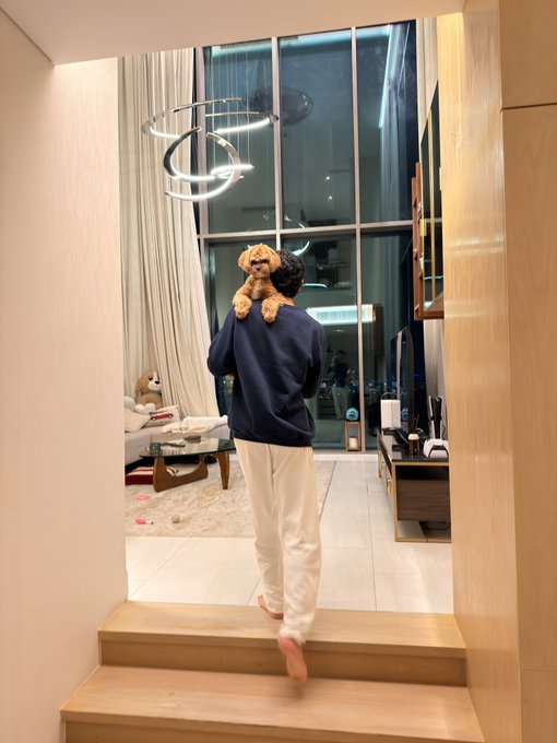 A person in a navy sweatshirt and beige pants walks down wooden stairs while carrying a small dog on their shoulders in a modern home interior.