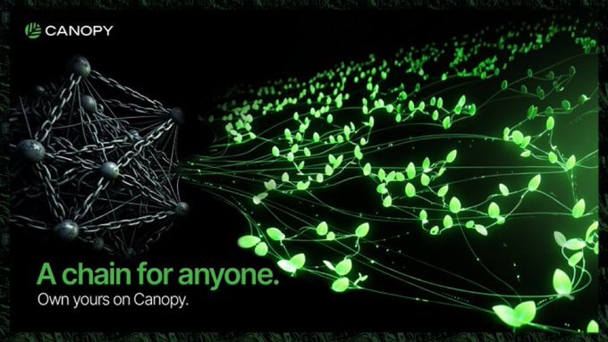 The image is a promotional graphic for Canopy featuring a network of nodes transforming into glowing green leaves, with the text "A chain for anyone. Own yours on Canopy" and the "CANOPY" logo. The visual metaphor of connected nodes branching into organic growth supports the post's message about Canopy Network's flexible infrastructure allowing builders to create customized chains tailored for various uses like gaming, DeFi, or interoperability.