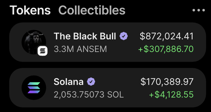 A screenshot of a "Tokens Collectibles" portfolio showing "The Black Bull" valued at $872,024.41 with a +$307,886.70 gain on 3.3M ANSEM, and Solana at $170,389.97 with a +$4,128.55 gain on 2,053.75073 SOL, supporting the post's celebration of a $300,000 gain in 24 hours.