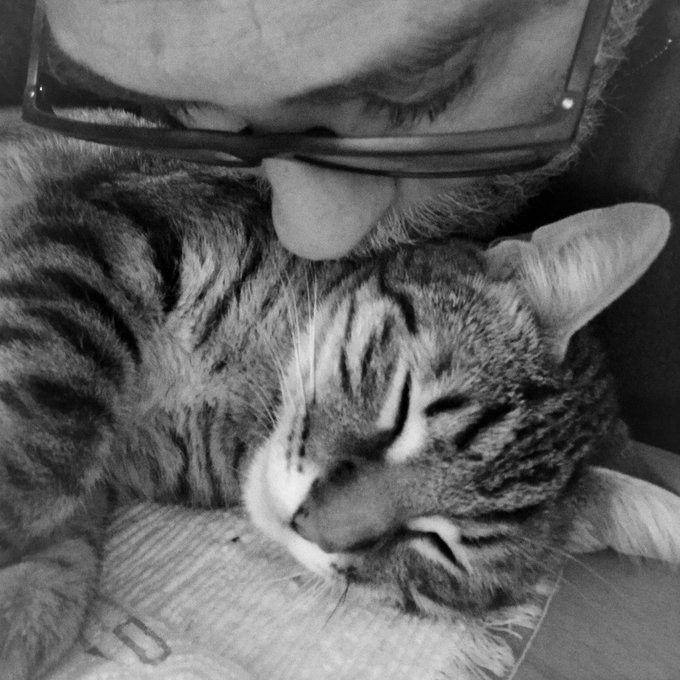 A black and white close-up photo of a tabby cat resting its head near a person wearing glasses.