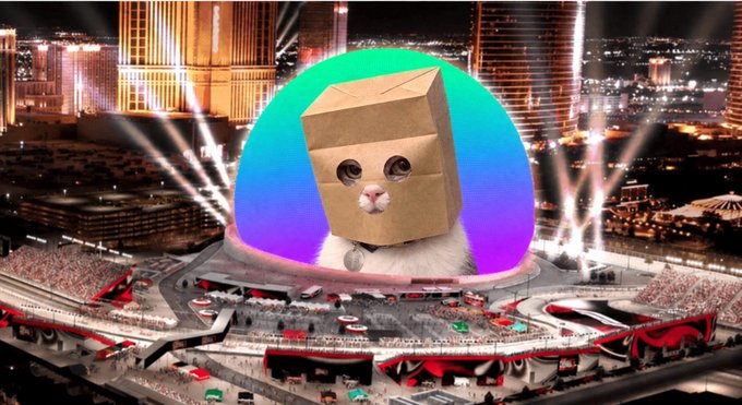 A cat wearing a brown paper bag over its head sits against a colorful gradient backdrop, superimposed over what appears to be the Las Vegas Sphere stadium surrounded by a vibrant cityscape. The image humorously visualizes the "$zcat" meme, playfully personifying the concept by literally putting a cat in a bag for the crypto ticker's mascot.