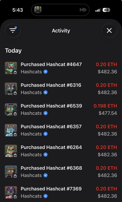 A mobile app activity log showing multiple Hashcat NFT purchases at 0.20 ETH each (~$482.36), including Hashcats #4647, #6316, #6539, #6357, #6264, #6368, and #7369.