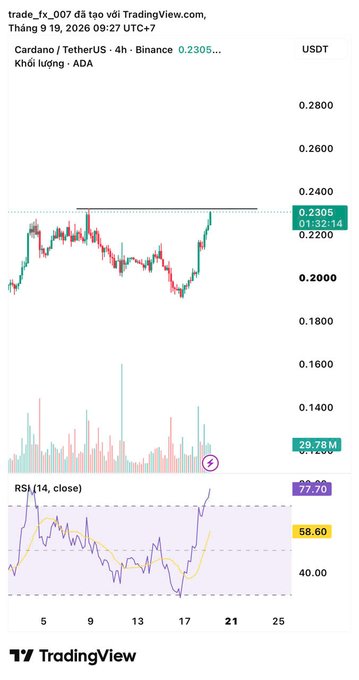 A TradingView chart of Cardano / TetherUS (ADA) on the 4h timeframe, showing a price of 0.2305 USDT and an RSI(14) value of 77.70.