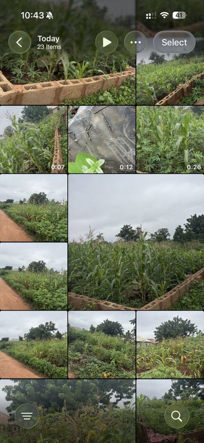 A phone photo gallery titled “Today” shows 23 items, primarily views of lush, fenced farmland and a cornfield. It appears to document the recently acquired ₦10 million property proposed for a future hospital.