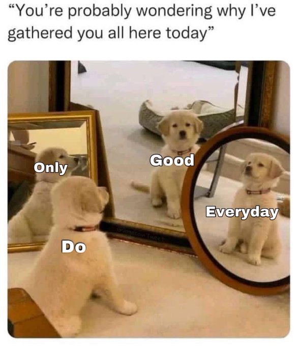 A golden retriever puppy sits facing two mirrors, creating the illusion of three identical dogs labeled "Only," "Do," and "Good Everyday," alongside the caption "You're probably wondering why I've gathered you all here today." The arrangement plays on the "Good Doge" meme, humorously assembling "Good" pups as if for a meeting.