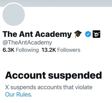 The image shows the suspended X account of "The Ant Academy" (@TheAntAcademy), which had 13.2K followers and is now suspended for violating platform rules. This relates to the post, which suggests the suspension occurred after the account failed to engage with @MetaVixensNFT, allegedly prompting action from @nikitabier.